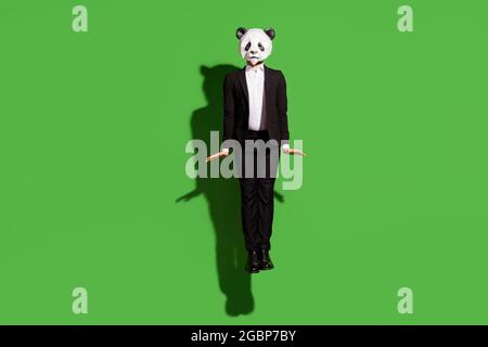 Vue sur toute la longueur de la taille du corps de l'homme inconnu timide de classe portant le masque panda saut posant directement isolé sur fond vert vif Banque D'Images