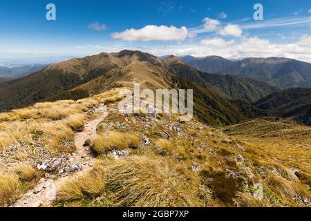 Crête entre Jumbo et Mount Holdsworth, circuit Holdsworth Jumbo, gamme Tararua Banque D'Images