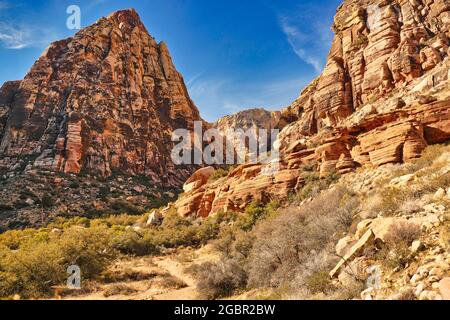 Dunes de sable lithifiées dans la zone de conservation nationale de Red Rock Canyon, à l'ouest de Las Vegas, avec une végétation désertique sèche en premier plan. Banque D'Images