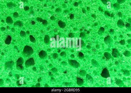 Fond de texture éponge vert, déatiled élevé Banque D'Images