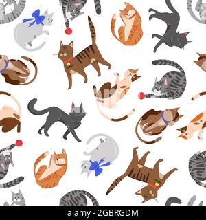 Les animaux de chat jouent à l'illustration vectorielle sans couture. Animal de compagnie mignon de chatons de différentes races, personnages de chatons à rayures brunes, rouges et grises amusants, texture puérile créative sur fond blanc Illustration de Vecteur