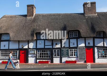 Angleterre, Hampshire, New Forest, Ringwood, bâtiment de chaume du XIVe siècle à colombages maintenant le restaurant Old Cottage Banque D'Images
