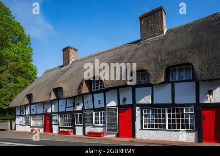 Angleterre, Hampshire, New Forest, Ringwood, bâtiment de chaume du XIVe siècle à colombages maintenant le restaurant Old Cottage Banque D'Images