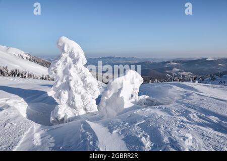 Paysage le jour d'hiver. Prairie couverte de gelées dans les dérives. Pelouse et forêts. Noël merveilleux. Haute montagne. Bac à papier peint enneigé Banque D'Images