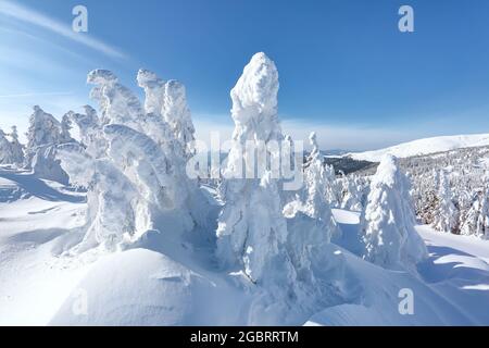 Paysage d'hiver. Noël merveilleux. Prairie couverte de gelées dans les dérives. Forêt. Haut mountaint. Fond d'écran enneigé. Banque D'Images