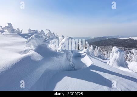 Paysage d'hiver. Noël merveilleux. Prairie couverte de gelées dans les dérives. Forêt. Haut mountaint. Fond d'écran enneigé. Banque D'Images