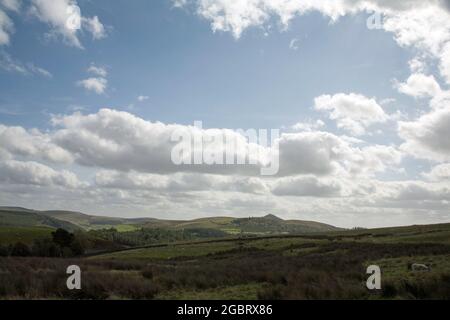 Shutlingsloe s'élevant au-dessus de la forêt de Macclesfield Macclesfield Cheshire Angleterre Banque D'Images