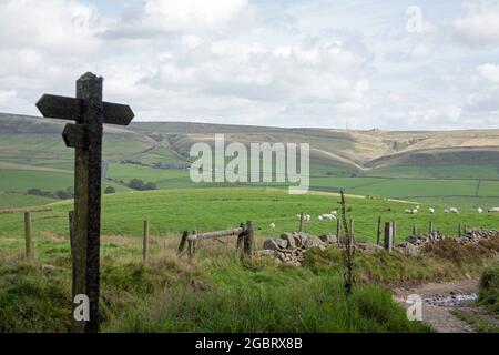 Shining Tor et le Cat and Fiddle Inn Macclesfield Cheshire Angleterre Banque D'Images