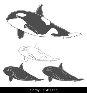 Ensemble d'images d'orques en noir et blanc. Objets vectoriels isolés sur fond blanc. Illustration de Vecteur