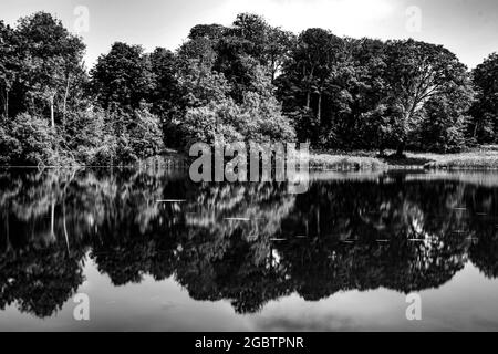 Arbres se reflétant dans un lac au parc Lydiard, Wiltshire Banque D'Images