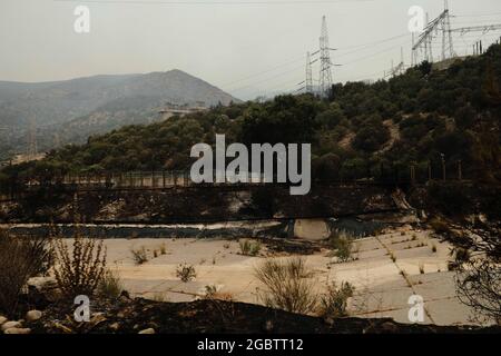 Mugla, Turquie. 05 août 2021. Une photo montre la destruction par les feux de forêt dans le district de Milas à Mugla, Turquie, le jeudi 5 août 2021. (Photo par Ilker Eray/GochreImagery/Sipa USA) crédit: SIPA USA/Alay Live News Banque D'Images