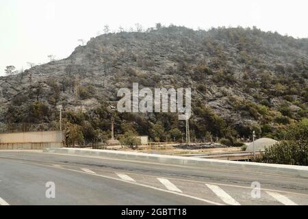 Mugla, Turquie. 05 août 2021. Une photo montre la destruction par les feux de forêt dans le district de Milas à Mugla, Turquie, le jeudi 5 août 2021. (Photo par Ilker Eray/GochreImagery/Sipa USA) crédit: SIPA USA/Alay Live News Banque D'Images