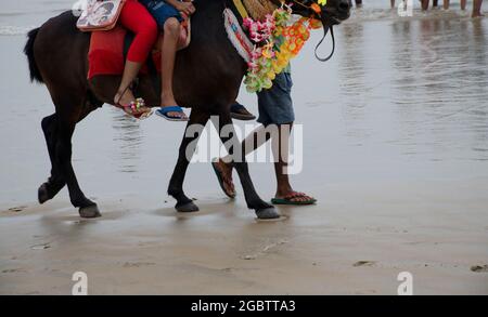 Les enfants sont à cheval le long de la mer de Digha, en Inde. Banque D'Images