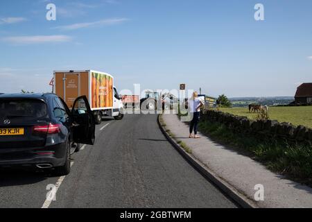 La circulation s'est arrêtée sur une route de campagne dans les hautes terres du Yorkshire, en Angleterre, pour permettre au bétail et à un tracteur de traverser la route Banque D'Images