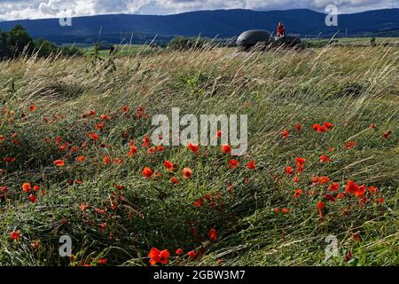 HUNSPACH, FRANCE, 24 juin 2021 : Poppers et cloches d'Ouvrare Schoenebourg. Le fort, une fortification de la ligne Maginot, est le plus grand ouvert au pub Banque D'Images