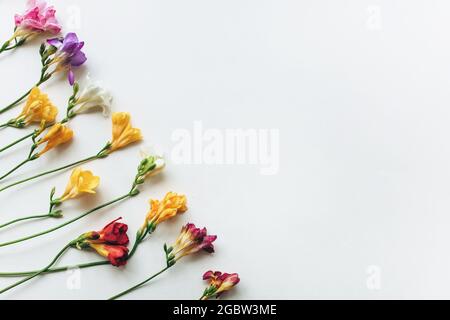 Bouquet de tulipes roses et de freesias colorées sur fond blanc. Flat lay, vue de dessus. Banque D'Images