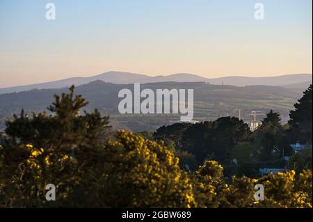 Belle vue en soirée de la crête des montagnes de Wicklow, des collines de Carrickgollogan et des fleurs sauvages de gorse jaune (Ulex) vues de Killiney Hill, Dublin, Irlande Banque D'Images