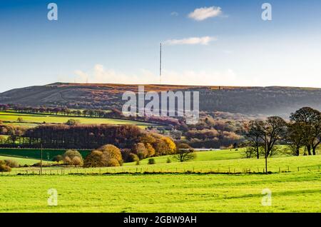Winter Hill sur les landes de Pennine Ouest dans le Lancashire avec la tour de Pigeon de Rivington et le mât de télévision donnant sur la ferme Banque D'Images