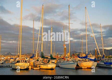 Bateaux dans la Marina, Homer Spit, Alaska Banque D'Images