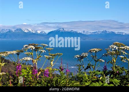 baie de kachemak, vue d'été - Alaska Banque D'Images