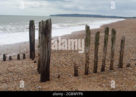 Vieux groynes pourris sur la plage de Rye Banque D'Images