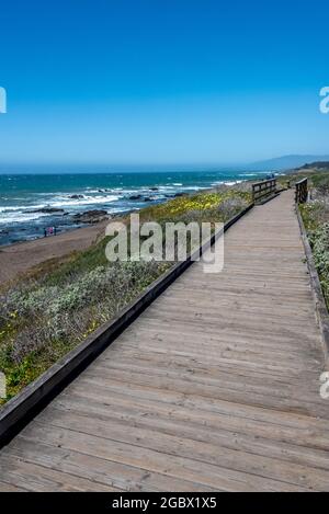 Le sentier de promenade de Moonstone Beach est accessible aux personnes à mobilité réduite et convient aux poussettes et offre une vue sur le Pacifique et le sanctuaire marin national de la baie de Monterey. Banque D'Images