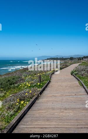 Sentier de promenade de Moonstone Beach à une section pittoresque du promontoire côtier avec vue sur l'océan du sanctuaire marin national de la baie de Monterey à Cambria. Banque D'Images