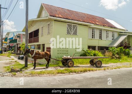 GEORGETOWN, GUYANA - 10 AOÛT 2015 : chariot à cheval à Georgetown, capitale du Guyana. Banque D'Images