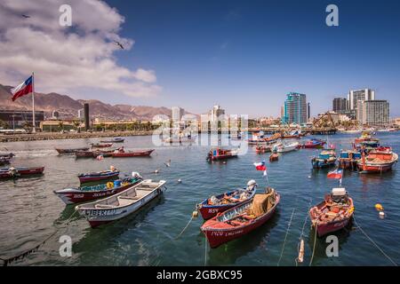 Botes colorés ancrés dans le port d'Antofagasta avec des pellicans volants et le drapeau chilien à gauche avec une vue panoramique sur la ville d'Antofagasta à Banque D'Images