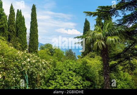 Dans le parc du Palais Livadia. Crimée. Yalta Banque D'Images