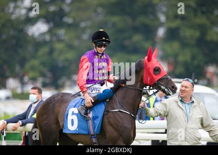 Jockey David Probert sur Chalk Stream aux courses de York. Banque D'Images