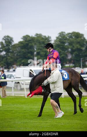 Jockey David Probert sur Chalk Stream aux courses de York. Banque D'Images