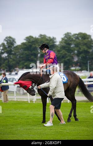 Jockey David Probert sur Chalk Stream aux courses de York. Banque D'Images