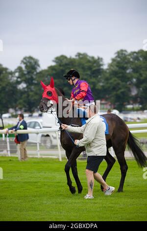 Jockey David Probert sur Chalk Stream aux courses de York. Banque D'Images