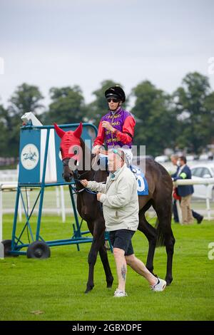 Jockey David Probert sur Chalk Stream aux courses de York. Banque D'Images