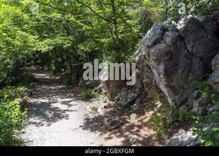 Un visage sculpté dans une grande pierre le long d'un chemin ensoleillé. Crimée. Yalta Banque D'Images