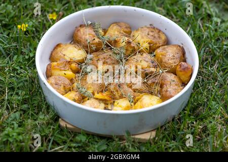 pommes de terre cuites au four avec thym dans un moule en céramique blanche Banque D'Images