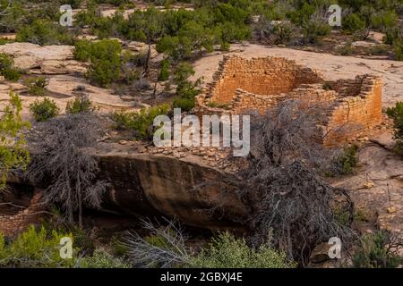 Horseshoe House à Hovenweep National Monument, Colorado, États-Unis Banque D'Images