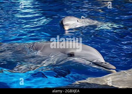 Illustration de deux dauphins nageant dans l'eau bleue. Banque D'Images