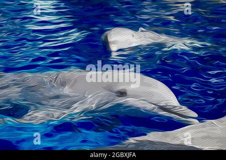 Illustration de deux dauphins nageant dans l'eau bleue. Banque D'Images