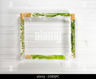 Cadre sur le fond des panneaux lumineux sous forme d'un carré plié à partir de quatre tubes à essai avec des extraits de plantes. Banque D'Images