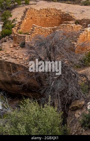 Horseshoe House à Hovenweep National Monument, Colorado, États-Unis Banque D'Images