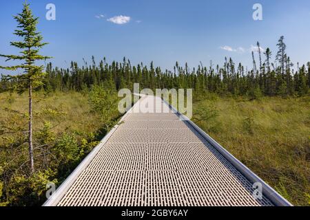 Sentier de randonnée pédestre dans UNE tourbière Banque D'Images