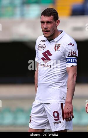 VÉRONE, ITALIE - MAI 09: Andrea Belotti attaquant pour Torino F.C. pendant la série UN match entre Hellas Verona et Torino FC au Stadio Marcantonio Bentegodi le 09 mai 2021 à Vérone, Italie. Crédit: Stefano Nicoli/Speed Media/Alay Live News Banque D'Images