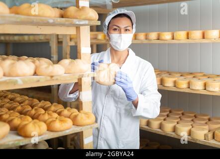 Femme cheesmaaker dans le masque de contrôle du processus de vieillissement du fromage de chèvre Banque D'Images
