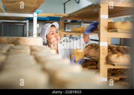 Femme cheesmaaker vérifiant le processus de vieillissement du fromage dans la chambre de maturation Banque D'Images