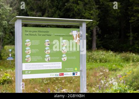 Bernau, Allemagne. 04e août 2021. Un panneau avec l'inscription « pour une bonne coexistence des humains, des animaux et de la nature » souligne les règles de conduite dans les zones de pâturage accessibles à pied tandis que le bétail peut être vu en arrière-plan. Les villages de la Forêt-Noire participants reçoivent des panneaux de pâturage pour éviter les collisions indésirables entre le bétail et les touristes. (À dpa-Kor ''attention des animaux de pâturage' - quand les humains et les vaches se trouvent à leur façon') Credit: Philipp von Ditfurth/dpa/Alay Live News Banque D'Images