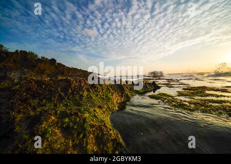 Belle plage avec de la mousse verte dans la province de Ninh Thuan au sud du Vietnam Banque D'Images