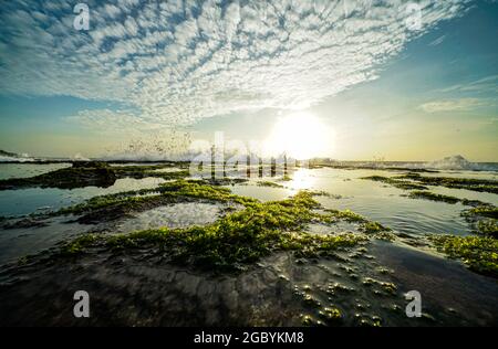 Belle plage avec de la mousse verte dans la province de Ninh Thuan au sud du Vietnam Banque D'Images