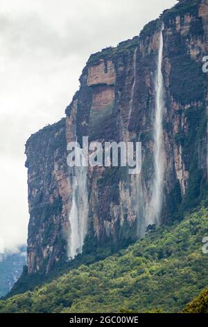 Tepui (montagne de table) Auyan dans le parc national de Canaima, Venezuela Banque D'Images